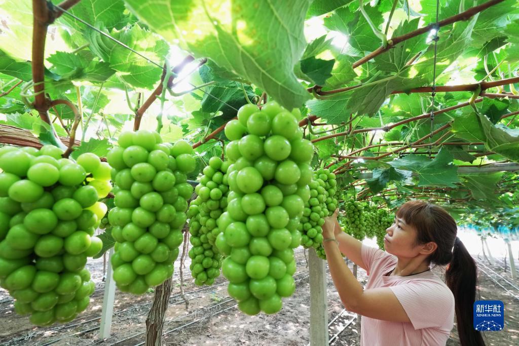 永利皇宫官网